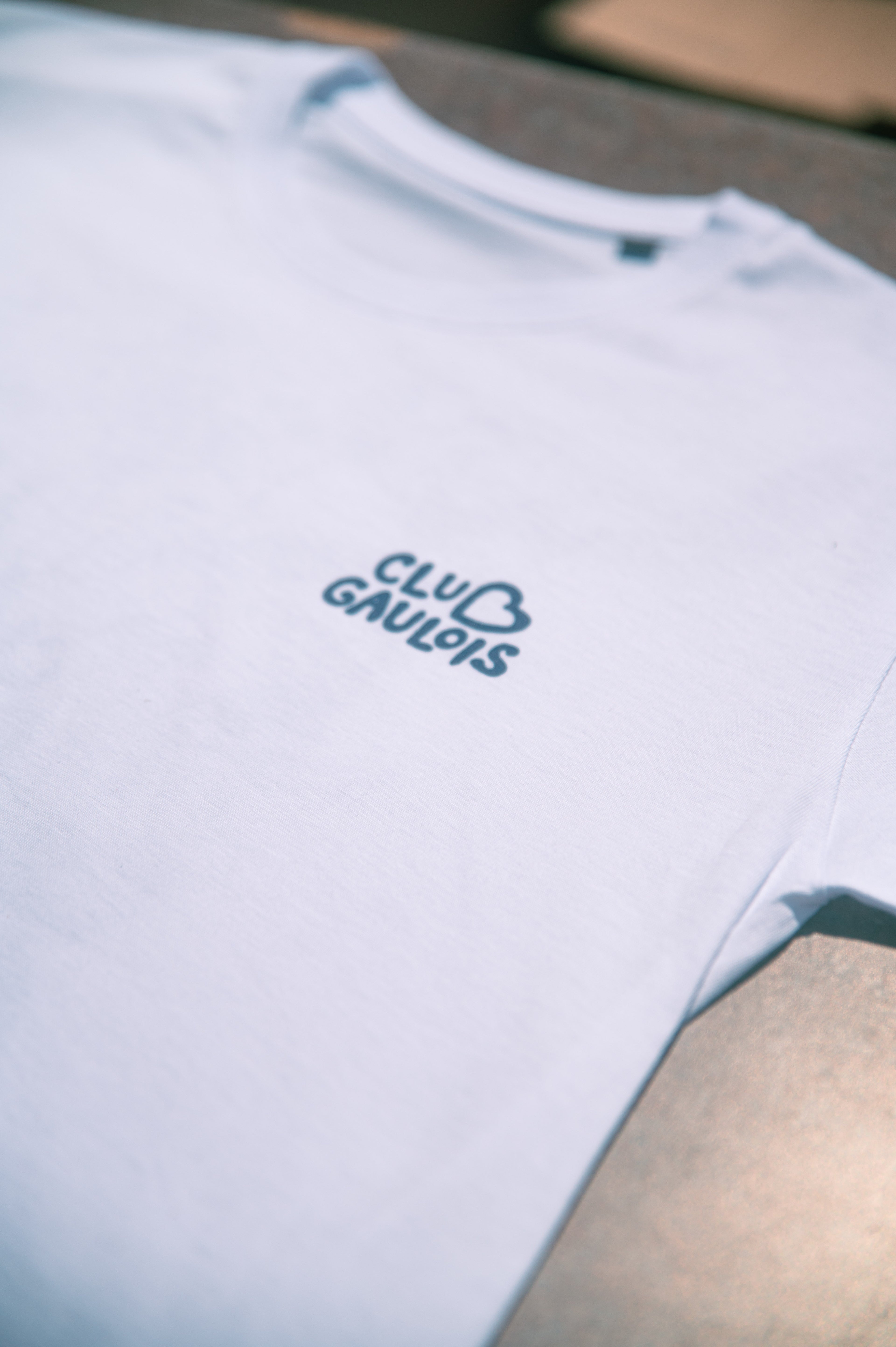 La fête au village - Le t-shirt